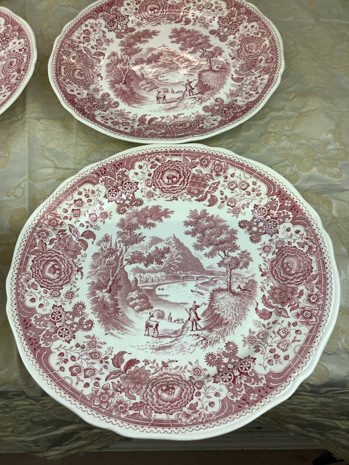 6 Villeroy and Boch Dinner Plates