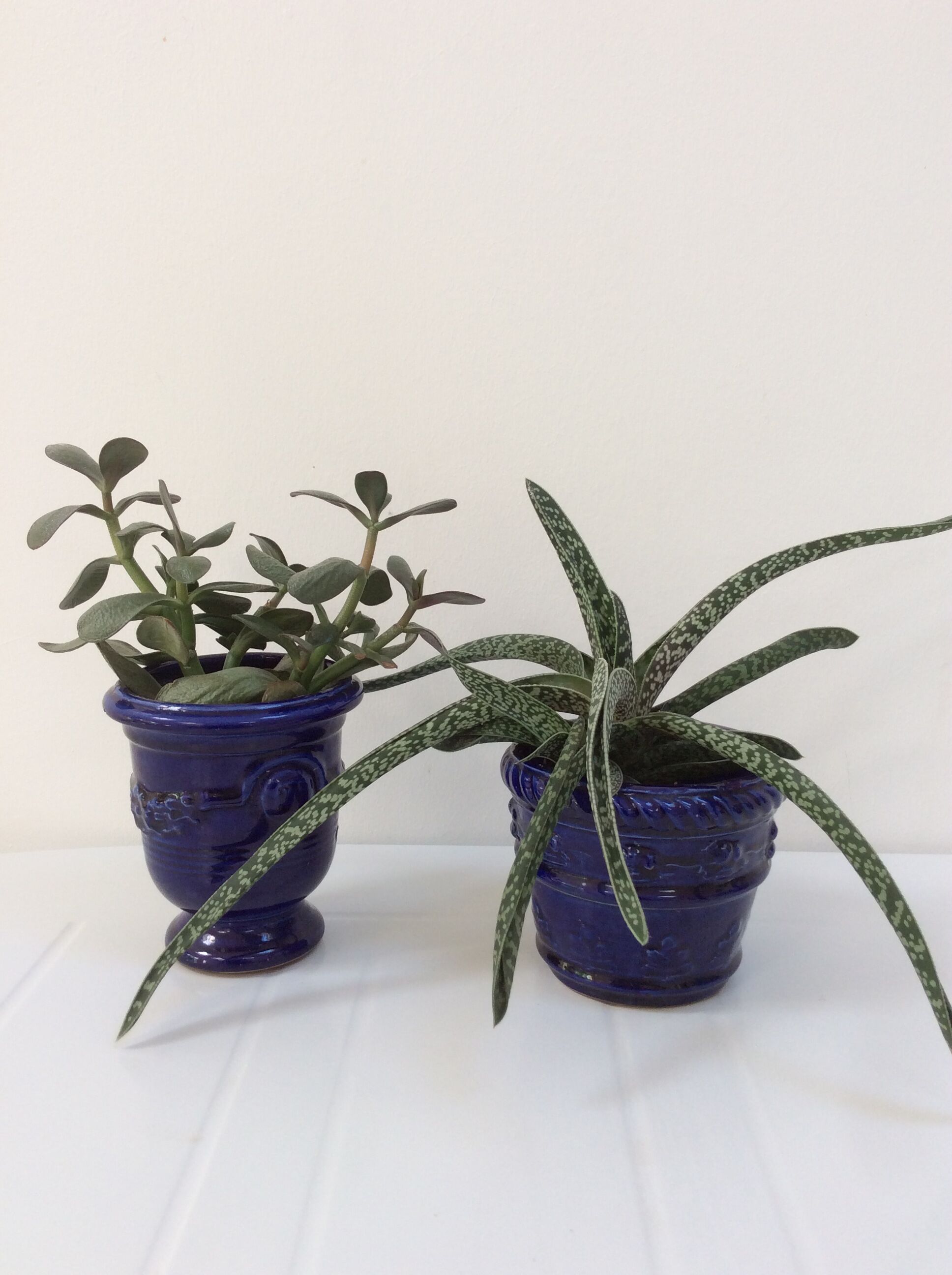 Lot of 2 old planters blue
