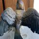 Oiseau numéroté et signé Karl Ens, en porcelaine de Saxe, XIXème siècle