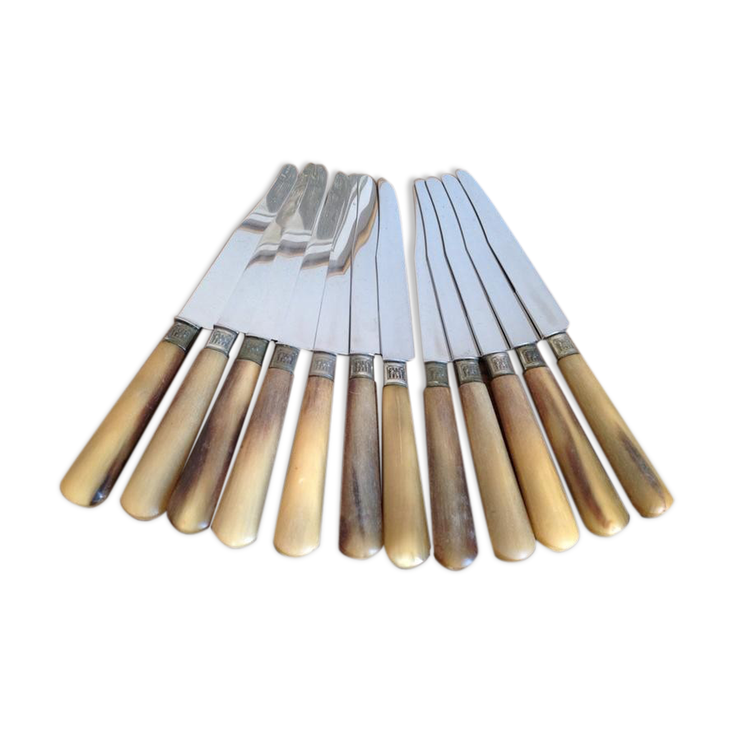 Box 12 knives Orfèvrerie Perrin