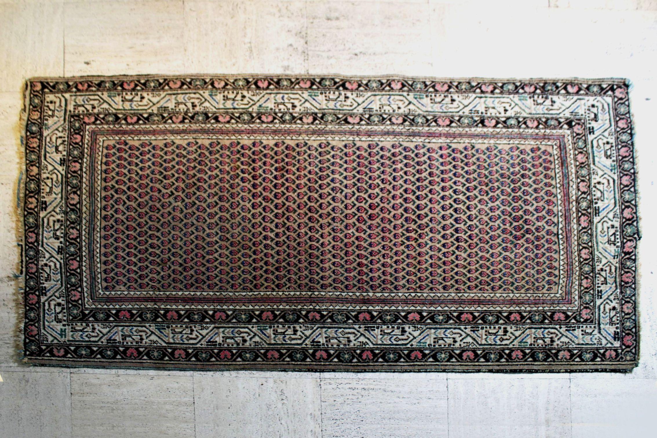 .Persian carpet Sarough Boteh Mir, Iran