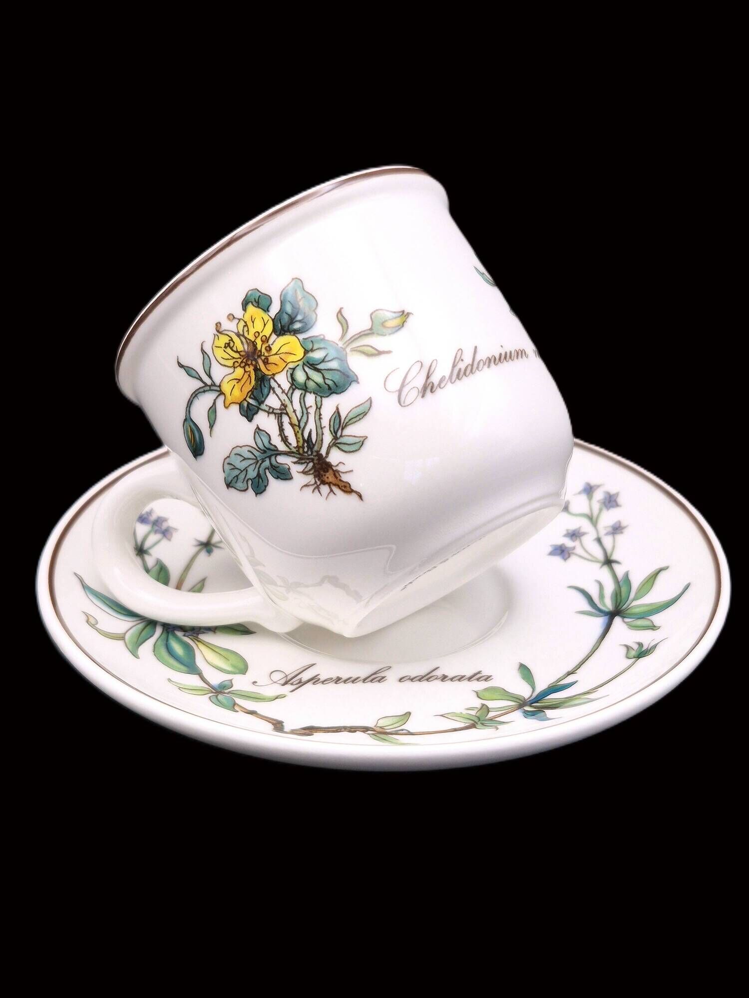 Set of 6 coffee cups and saucers Villeroy & Boch, vintage, Botanica