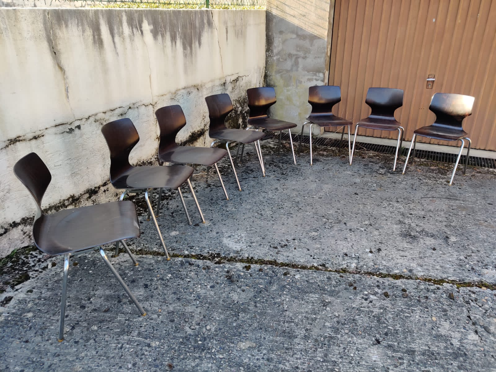 8 vintage chairs by Flötotto Pagwood