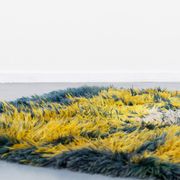 Tapis suédois moderne de Viola Grasten pour Nordiska Kompaniet, années 1960