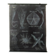 Rare educational grand tableau hand-drawn of extinct echinoderms, 19th century.