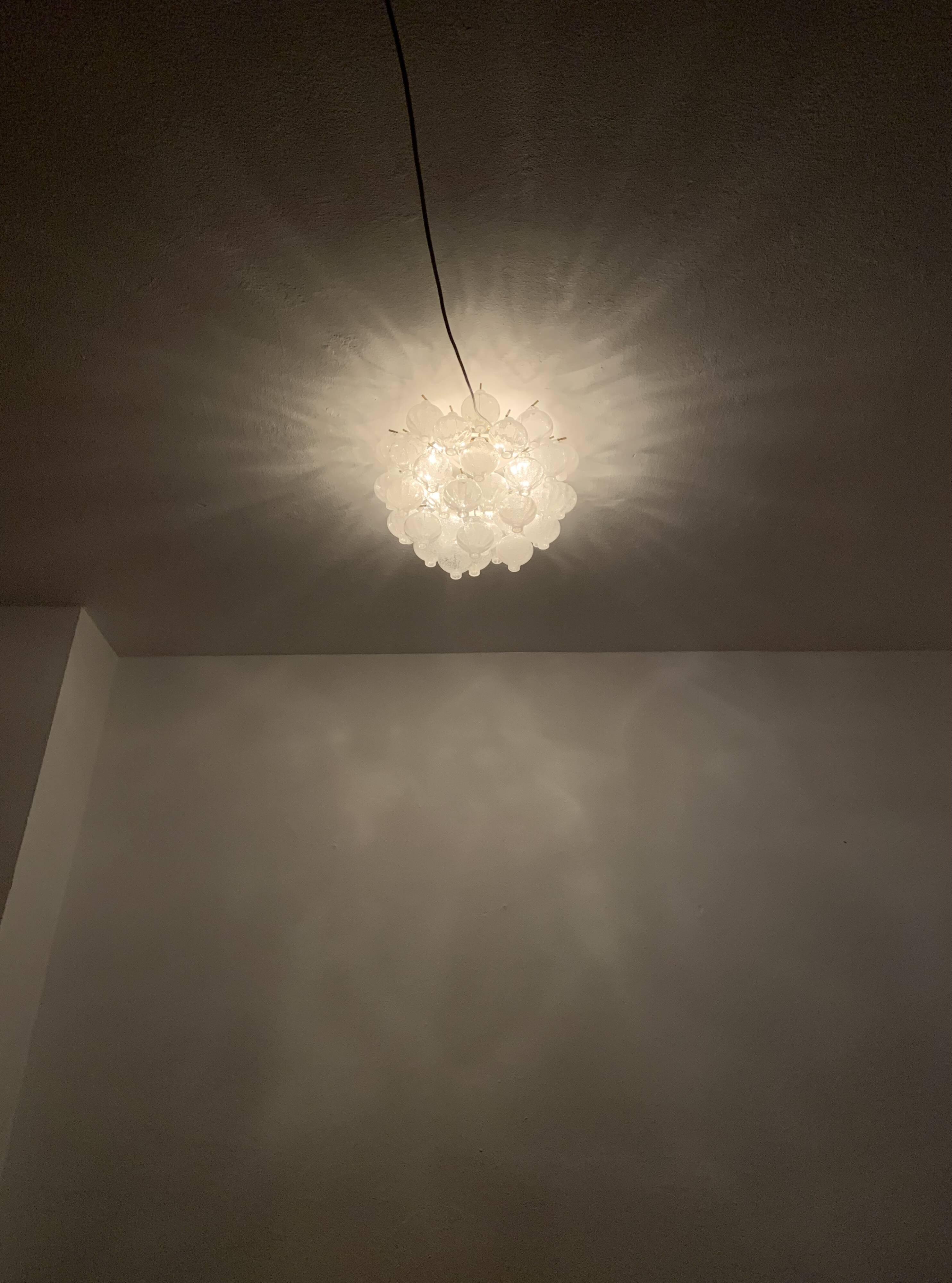 Tulipan Ceiling Chandelier by J.T. Kalmar