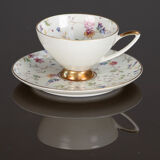 Cup and saucer set in bavaria 1950 porcelain