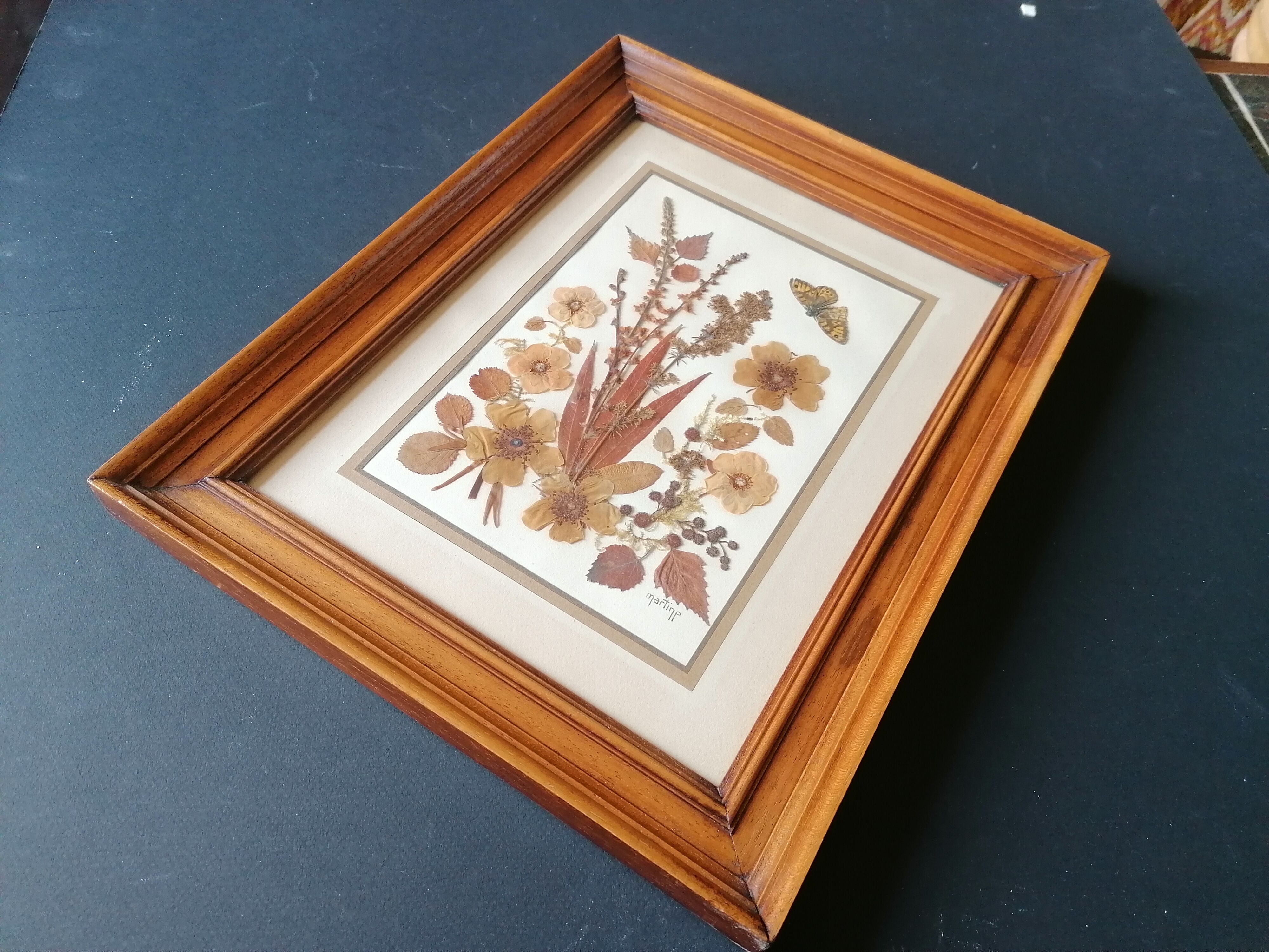 Ancient herbarium