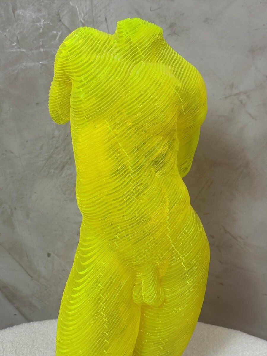 Acrylic male bust by Olivier Duhamel