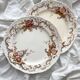 2 polychrome ironstone dinner plates "Wentworth" by Emile Bourgeois