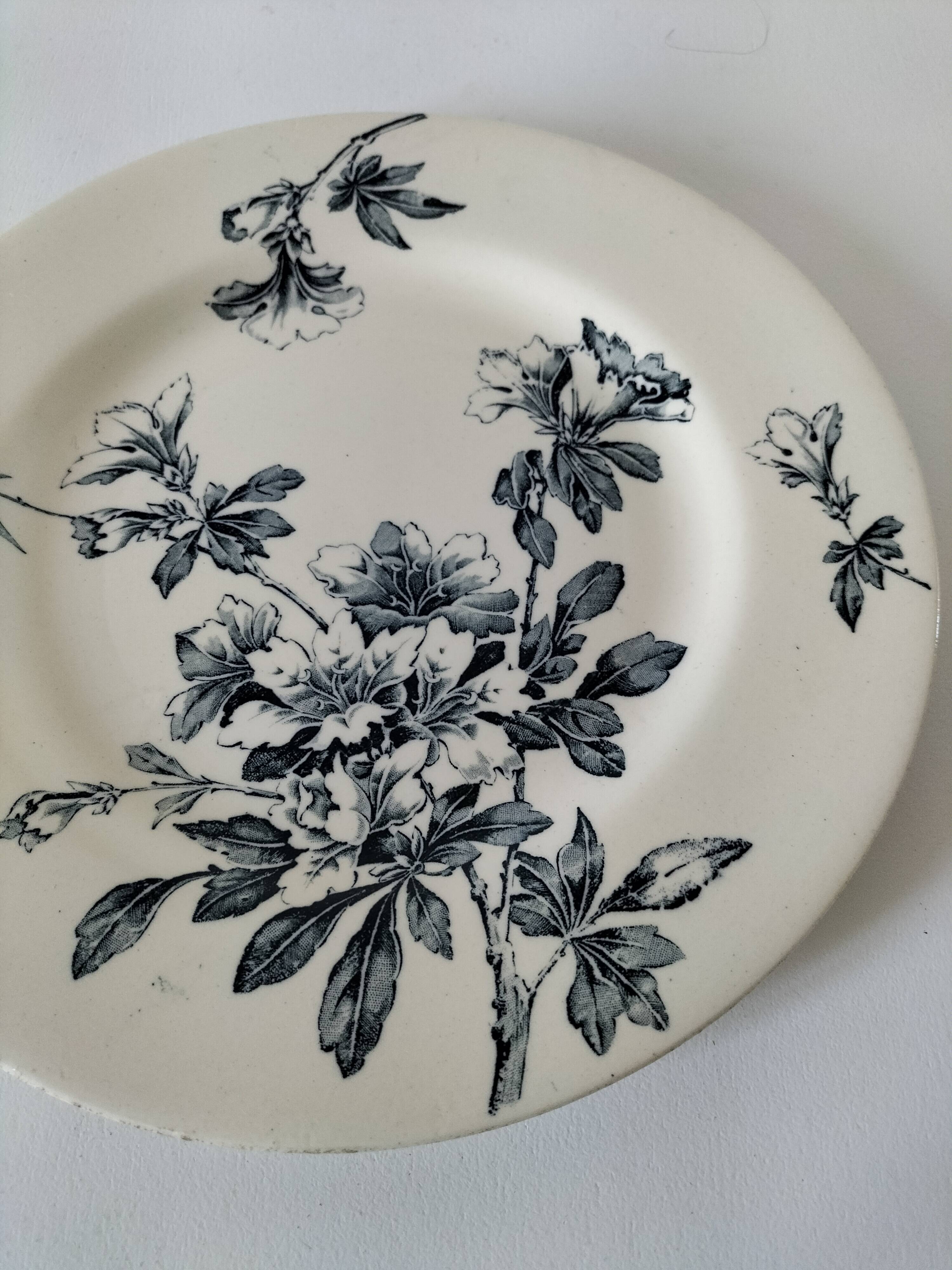 Antique plate, “Azaléa” model – KG Lunéville (circa 1930)