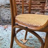 Armchair in bentwood and caning