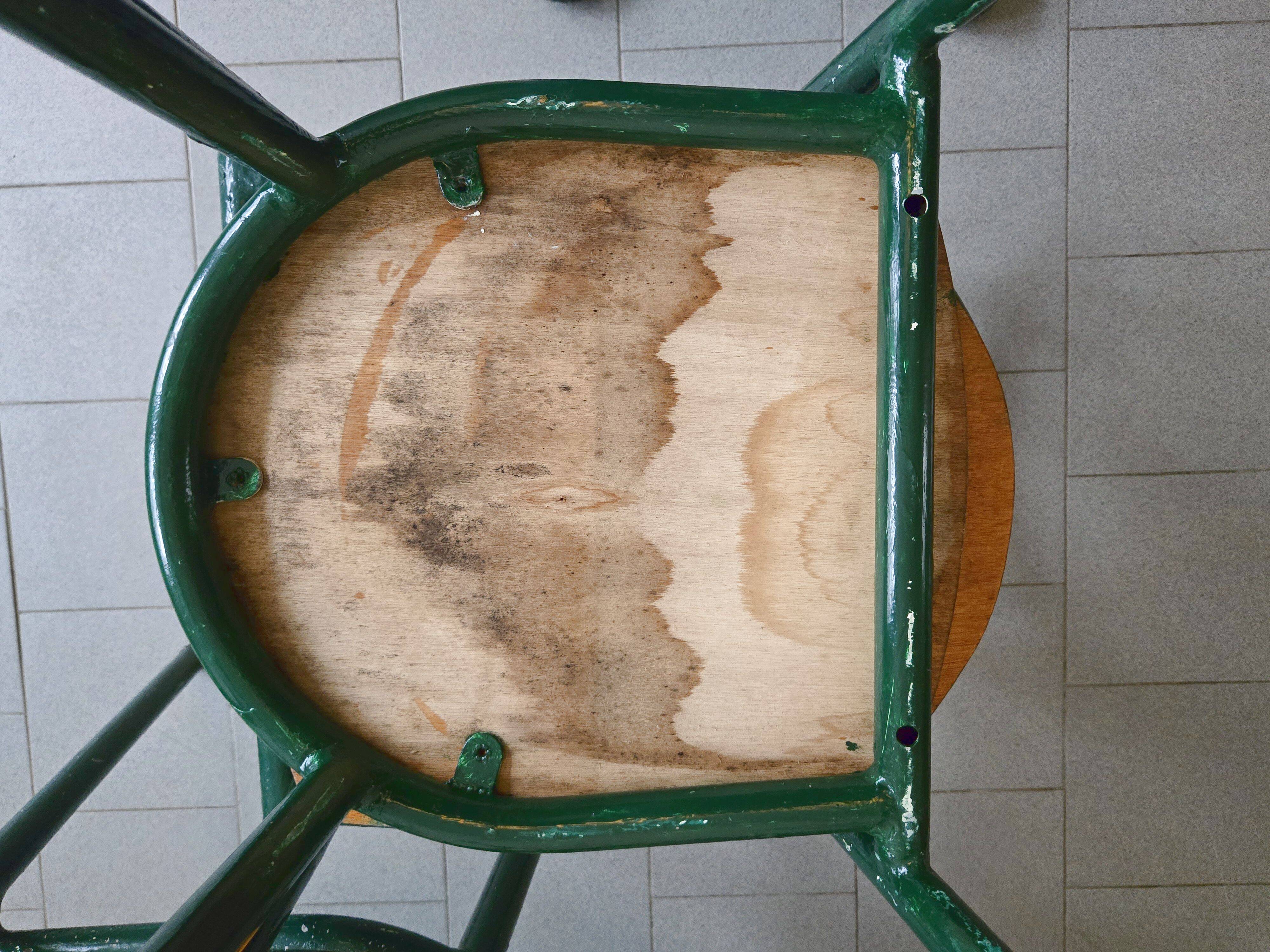 Set of 6 vintage Mobilor 1950 chairs