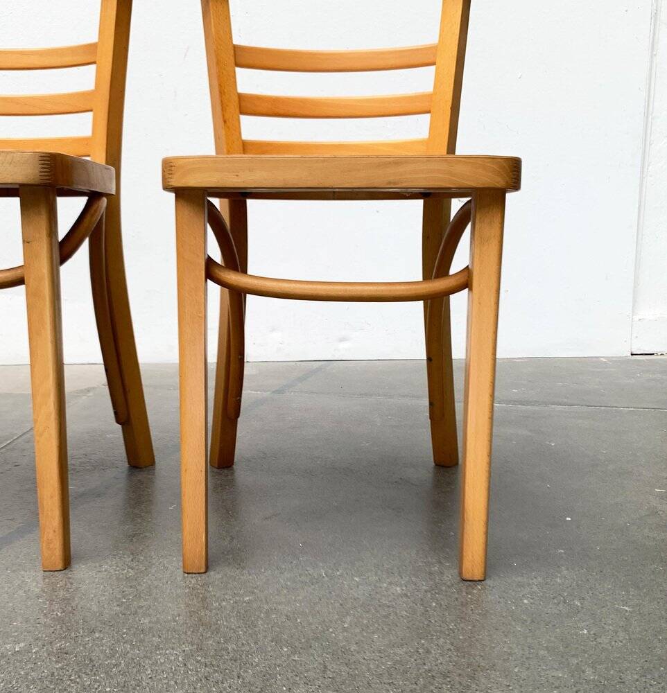 Mid-century German bentwood chairs by ZPM Radomsko for Mobilair, 1950s, set of 3.
