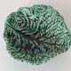 Cabbage leaf bowl