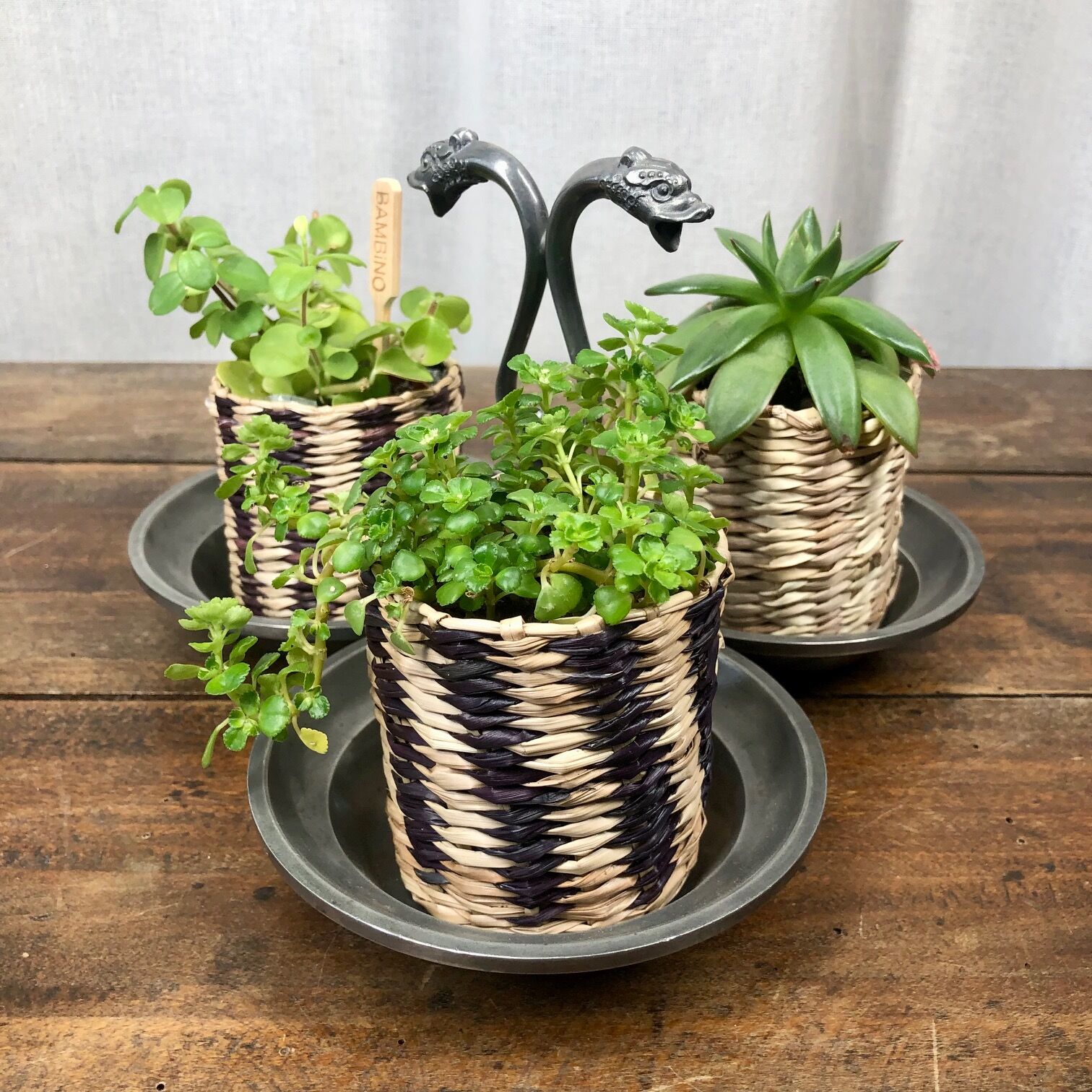 Poignée Porte-Poisson Daiwa V-200 - Blanc - Pour Toutes Espèces - Pêche Générale