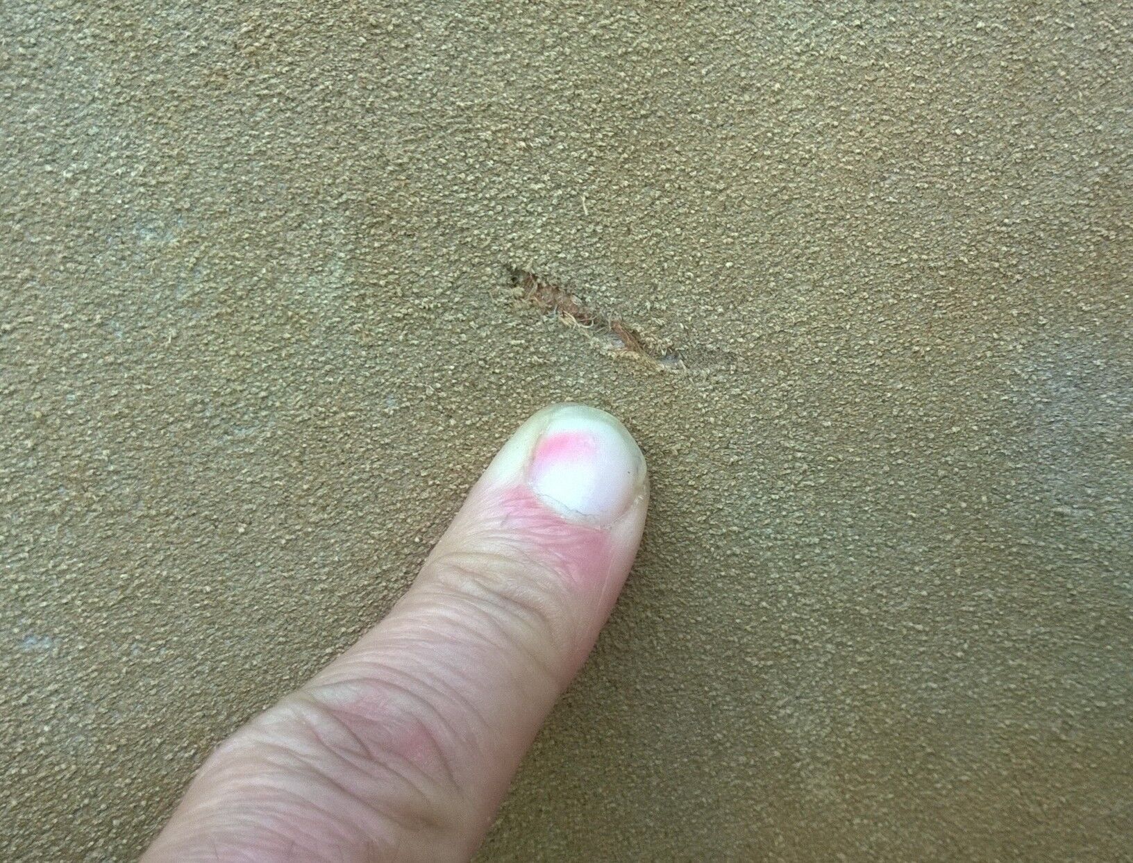 Pair of armchair flesh circle for Lusch Erzeugnis, 1960