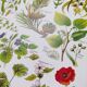 Poster on calming plants, based on a 1928 lithograph