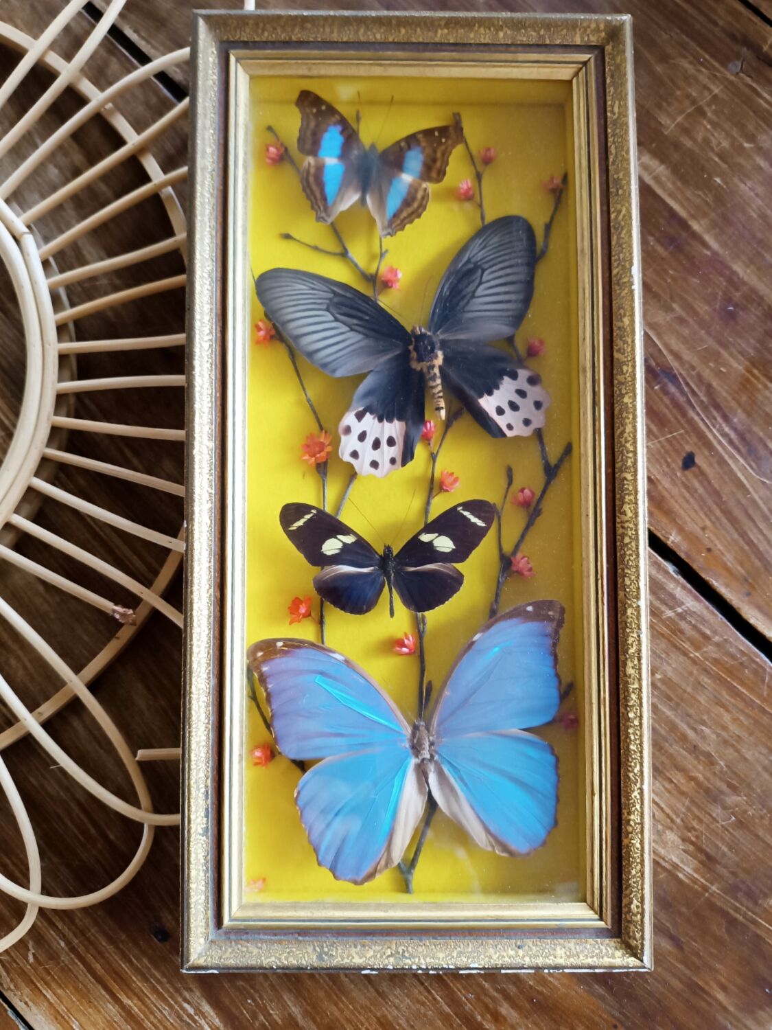 Three vintage butterfly frames