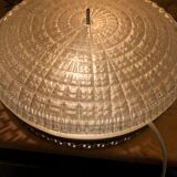 Pair of crystal ceiling lights