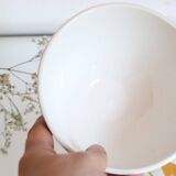 Vintage Sarreguemines bowl