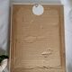 PJ Redouté - illustration botanique - Rosier à cent feuilles, Imp de R
