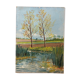 Vintage poplar paint