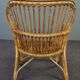 Fauteuil Belse 8 en rotin Dutch Design, 1950