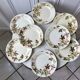 set of 8 dessert plates Terre de Fer Lunéville model Lier XIXth
