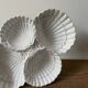 Ceramic shell-shaped serving dish