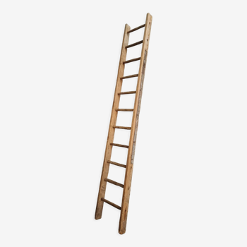 Antique ladder pine 290 cm