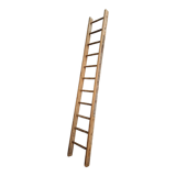 Antique ladder pine 290 cm