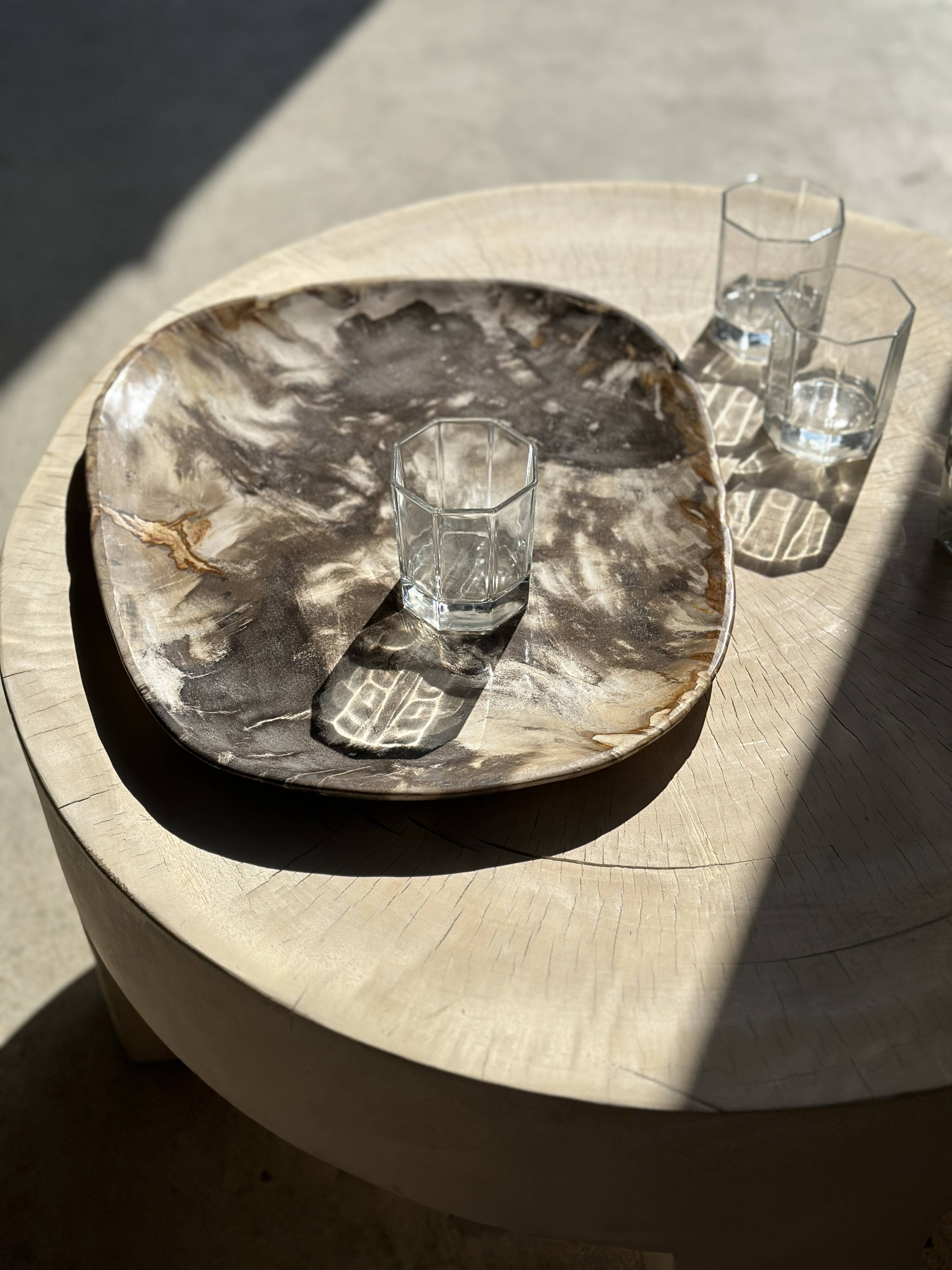 Very large pocket or dish in petrified wood