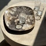 Very large pocket or dish in petrified wood