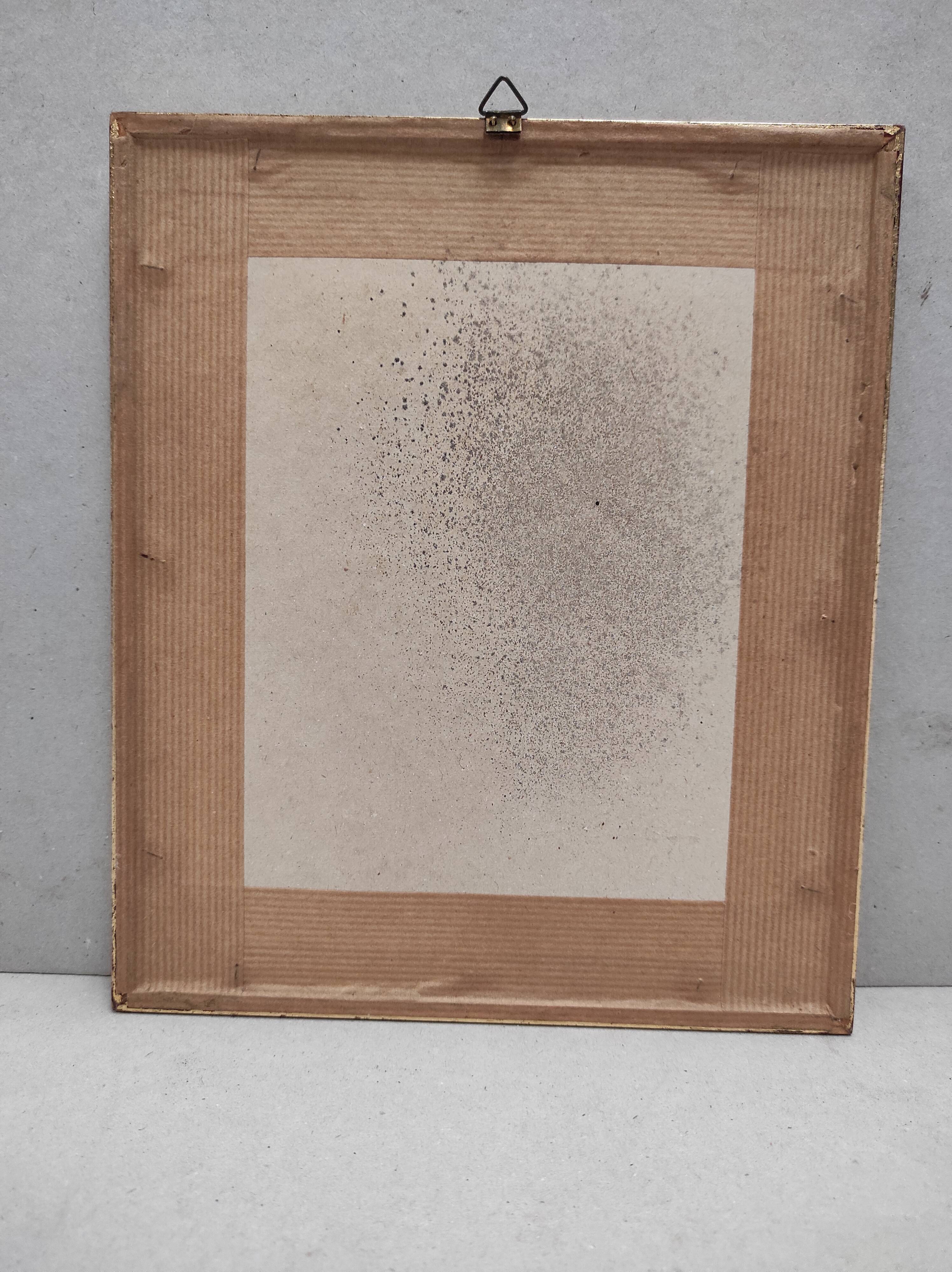 Lithography illustration bird Ramphomicron Stanleyi vintage engraving gilded frame