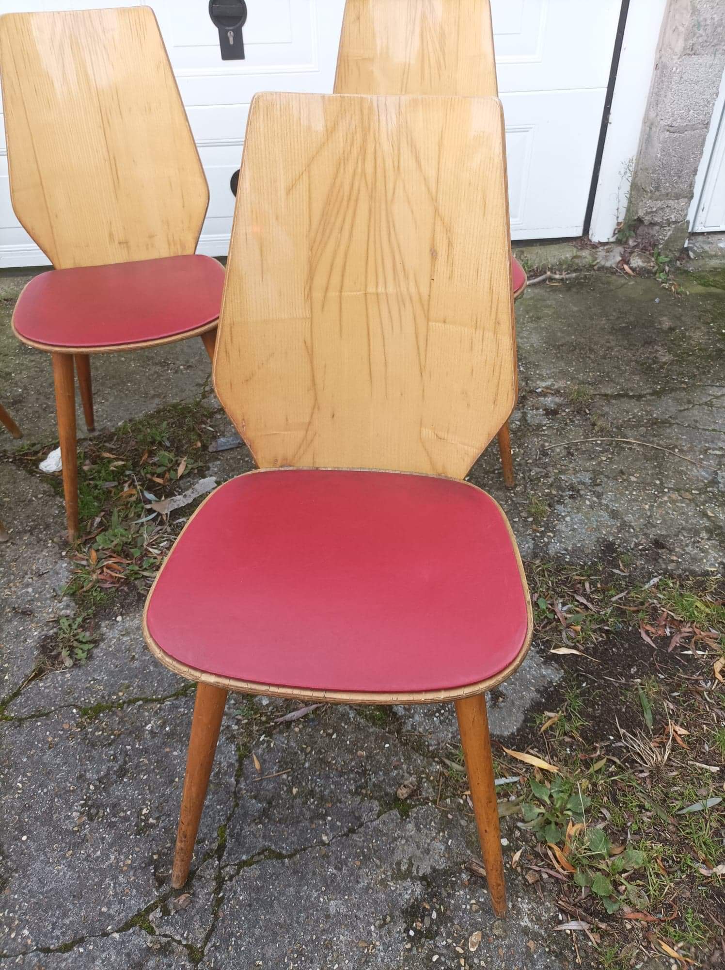6 vintage Baumann chairs by Max Bill 50s