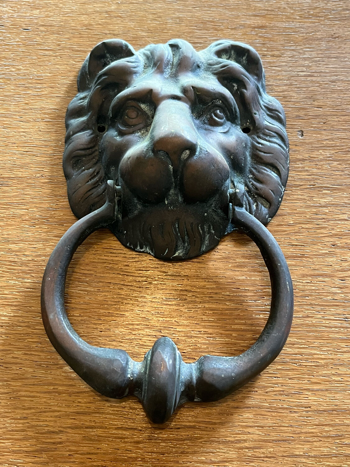 Lion head door knocker