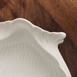 Empty pocket scallop shell