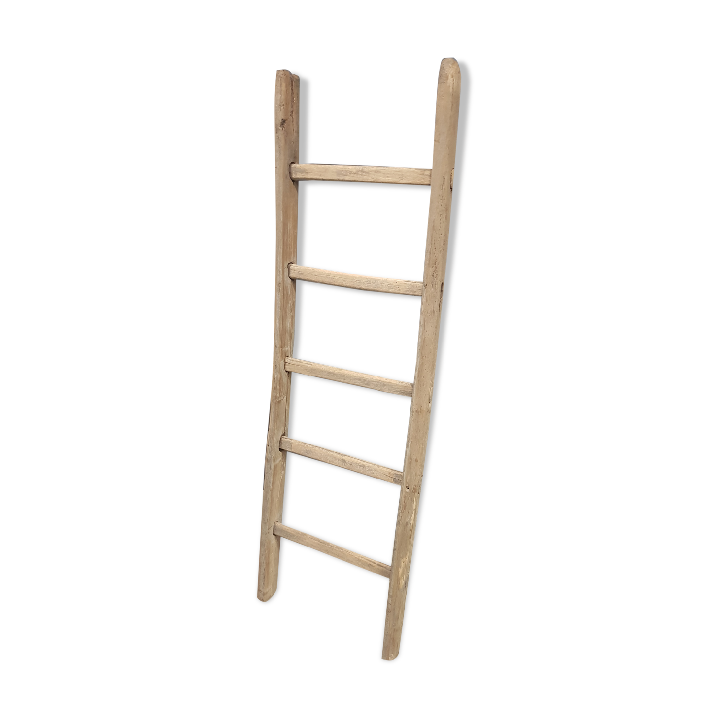 Échelle