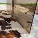 Table basse en verre fumé par Galloti et Radice italie , 1970s