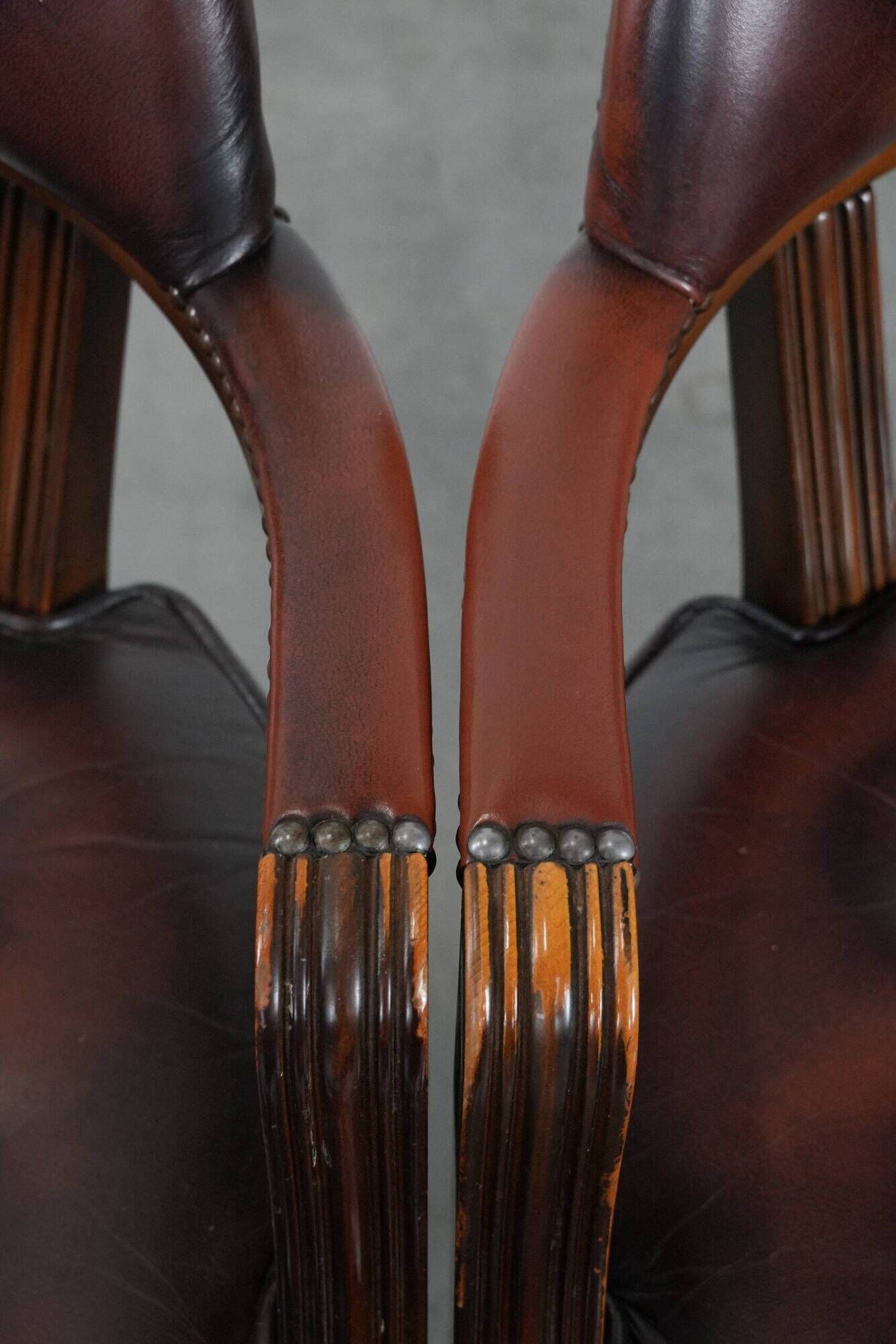 Set of two brown leather Chesterfield dining chairs in English style.