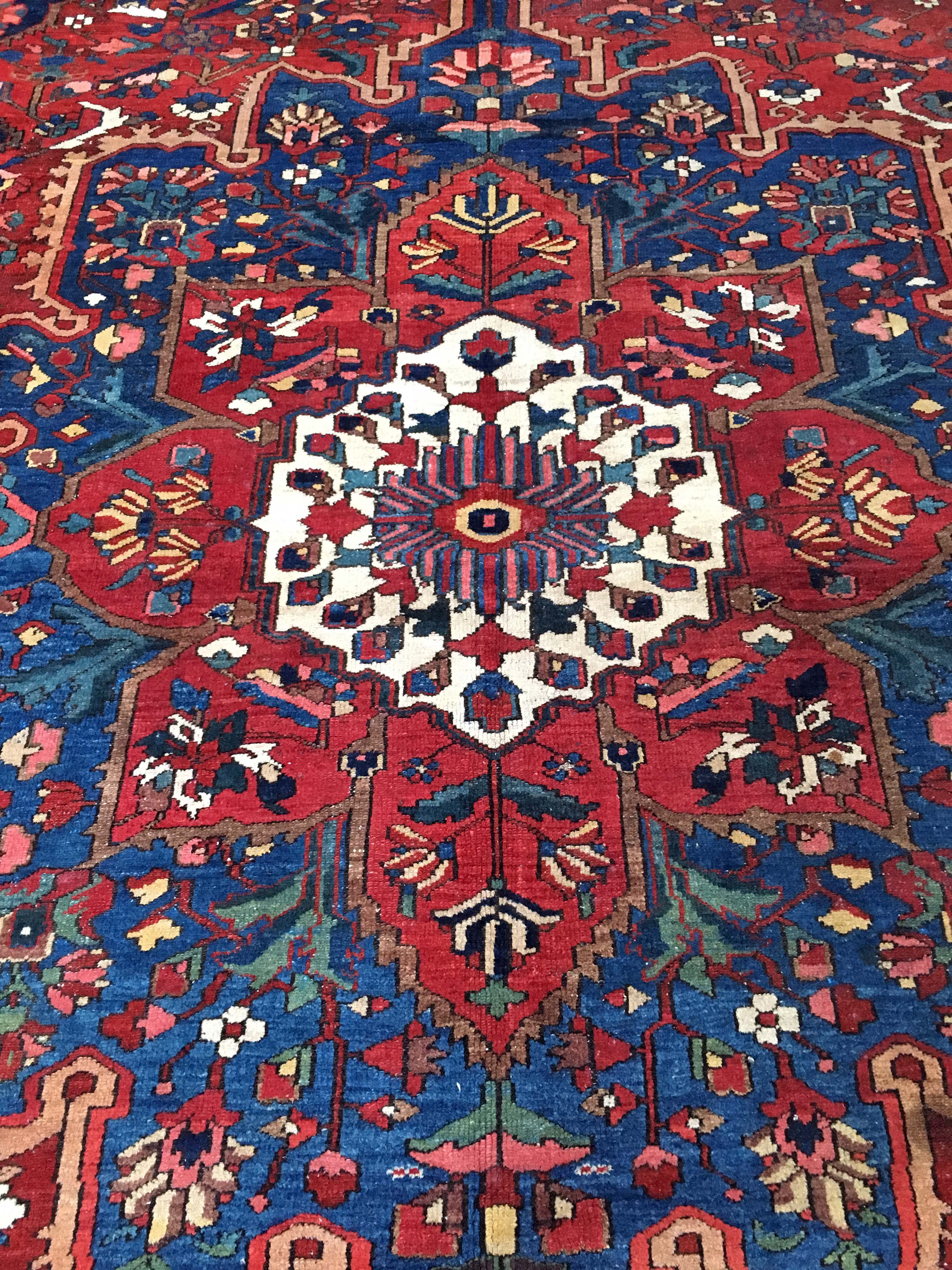 Oriental rug: former bakhtiari, 490 x 325