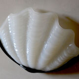 Pair of 1940's Art Deco Clam Shell Wall Lights