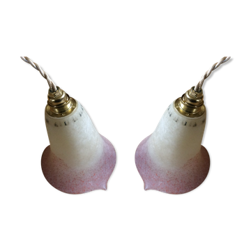 Pair of wine suspensions
