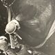 Photograph black and white silver print circa 1970 riding competition