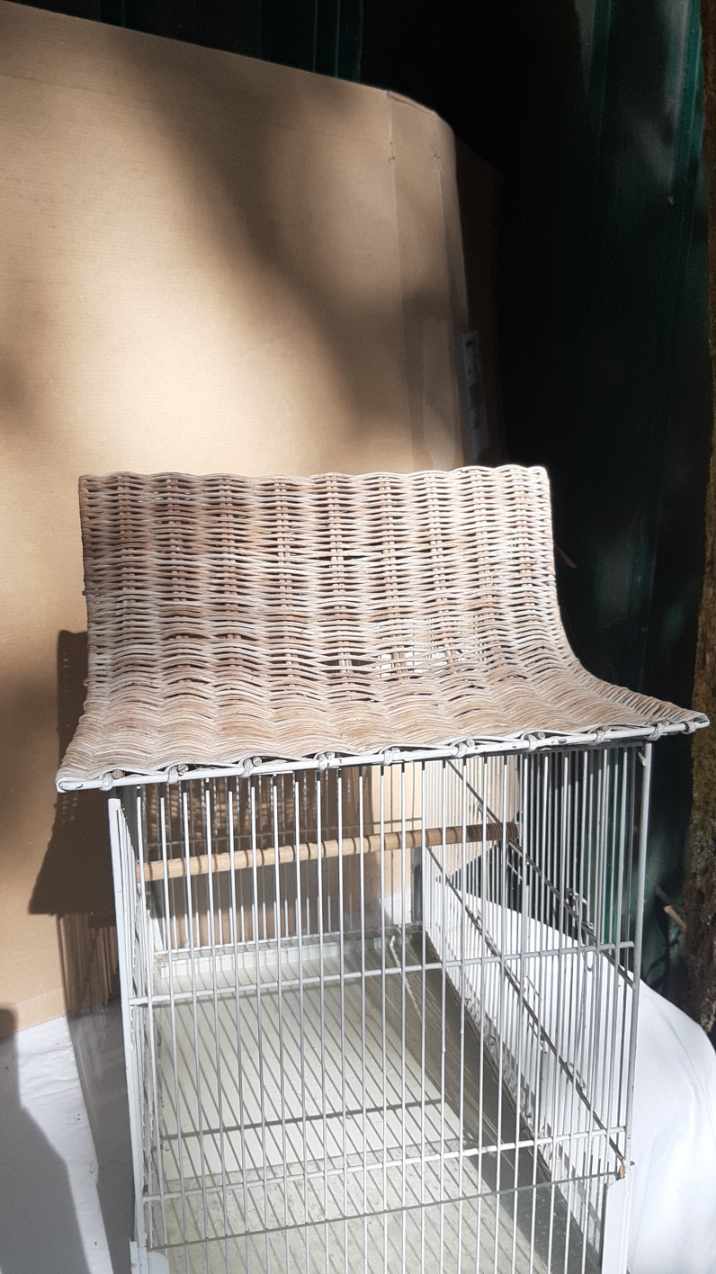 Iron and wicker bird cage