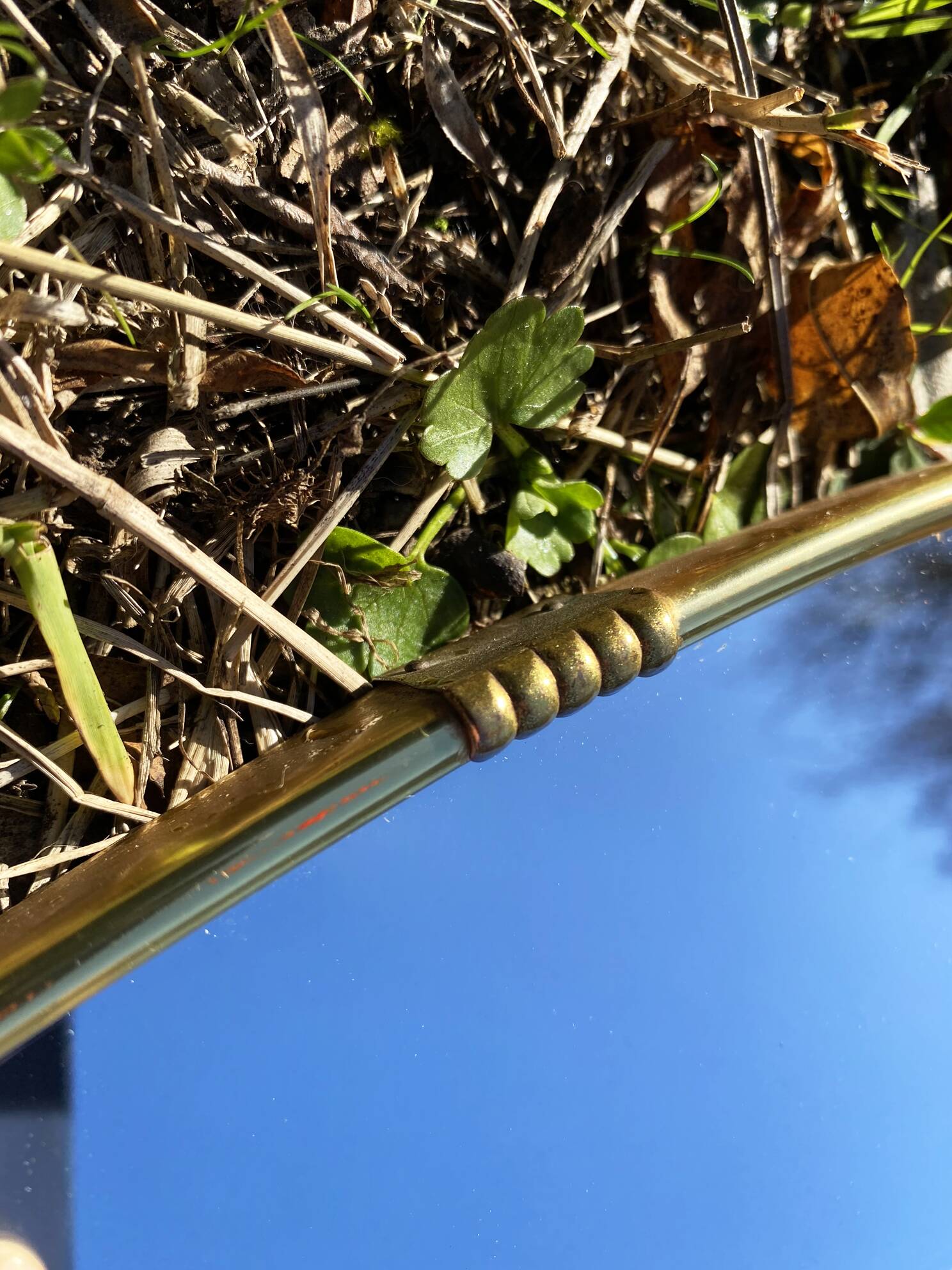 Grand miroir mural de forme asymétrique, Allemagne années 60