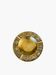 Vintage gilt bronze horoscope ashtray