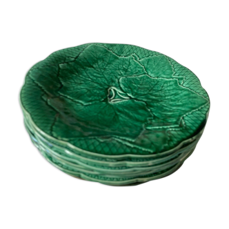 8 plates in leaf slurry