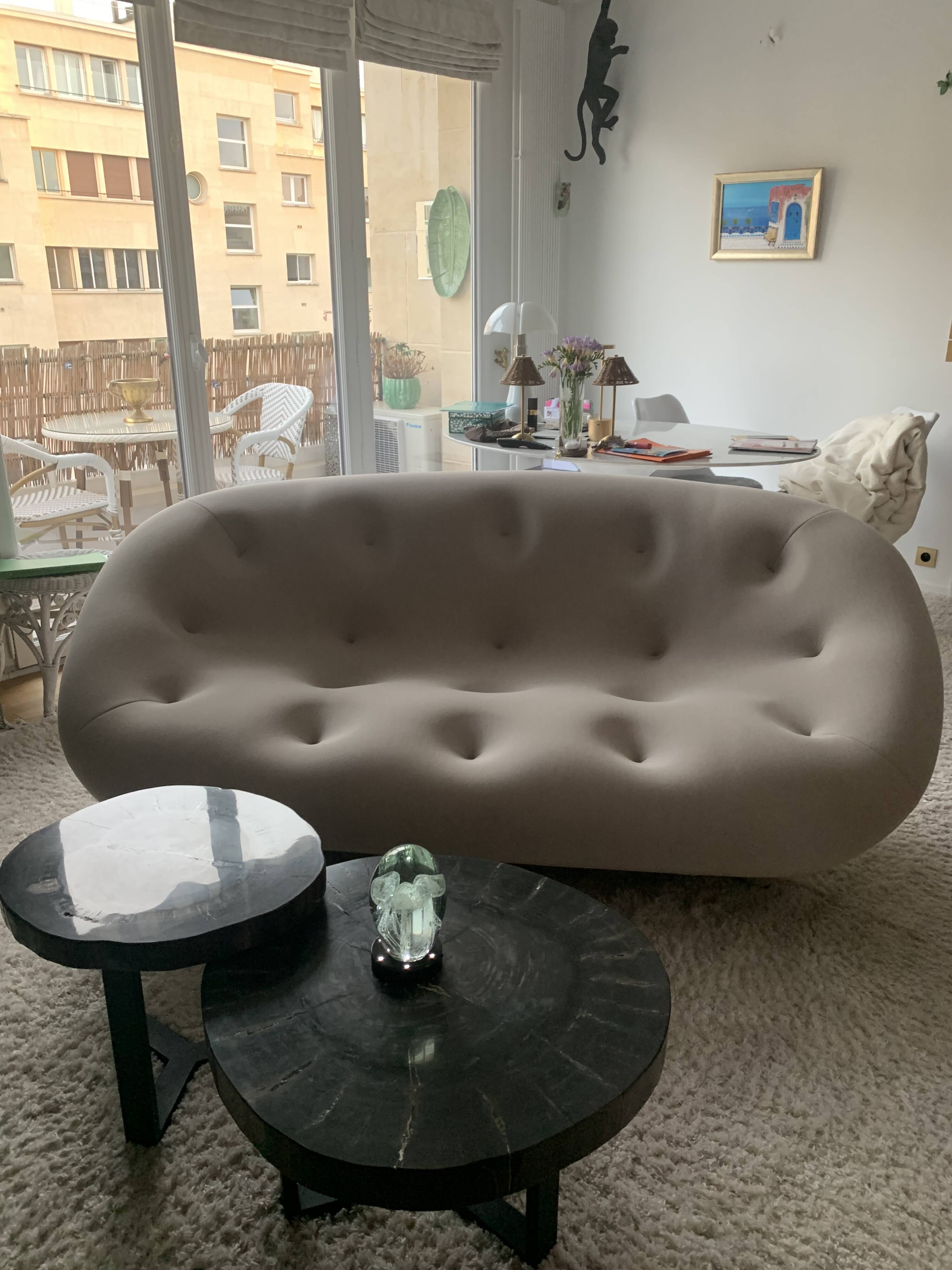 Canapé Plum Ligne Roset